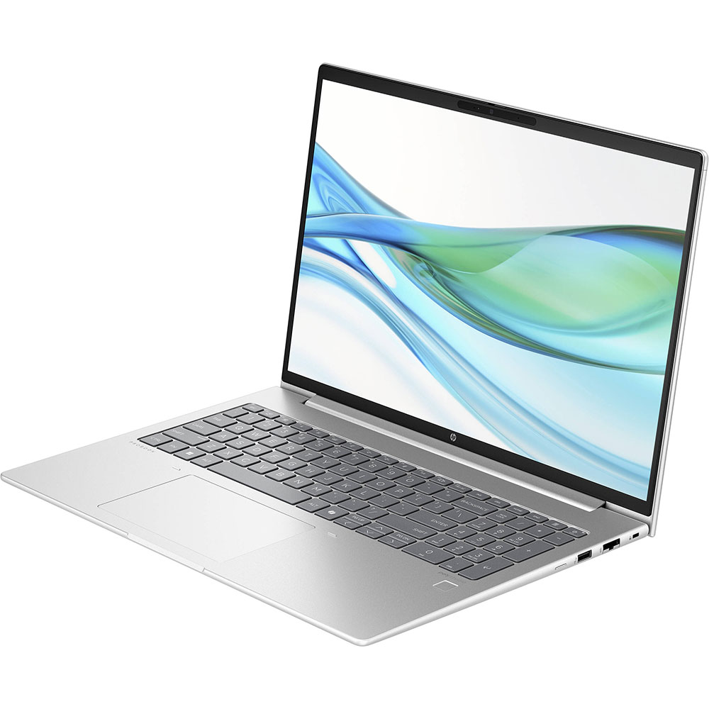 Ноутбук HP ProBook 465 G11 Pike Silver (A38JRET) Разрешение дисплея 1920 x 1200