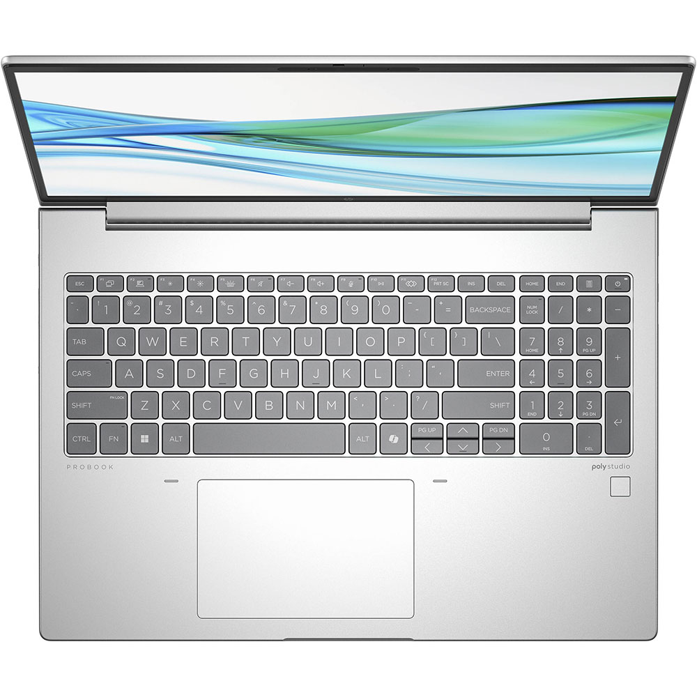 Ноутбук HP ProBook 465 G11 Pike Silver (A38JRET) Тип матрицы IPS