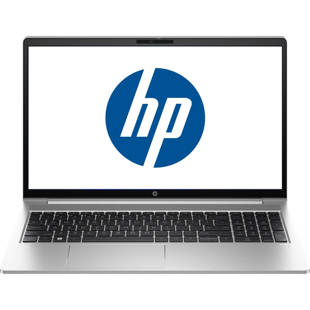 Ноутбук HP ProBook 455 G10 Silver (719F6AV_ITM1)