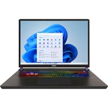 Ноутбук MSI Vector 17 HX AI A2XWIG-043UA Cosmos Gray (9S7-17S372-043)
