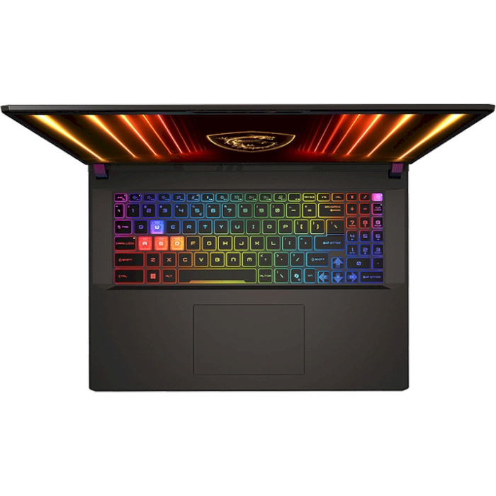 Ноутбук MSI Vector 17 HX AI A2XWHG-044XUA Cosmos Gray (9S7-17S372-044) Тип матриці IPS
