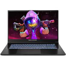 Ноутбук DREAM MACHINES RG5070-17 Black (RG5070-17UA25)