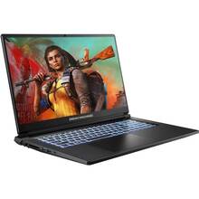 Ноутбук DREAM MACHINES RT5060-17 Black (RT5060-17UA22)
