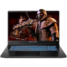 с дискретной видеокартой Ноутбук DREAM MACHINES RT5070-17 Black (RT5070-17UA20)