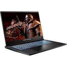 Ноутбук DREAM MACHINES RT5070-17 Black (RT5070-17UA20)