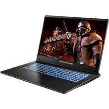 Ноутбук DREAM MACHINES RT5070-17 Black (RT5070-17UA20)