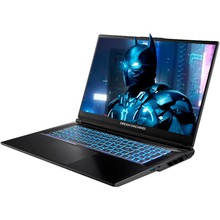 Ноутбук DREAM MACHINES RT5070-17 Black (RT5070-17UA21)