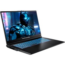 Ноутбук DREAM MACHINES RT5070-17 Black (RT5070-17UA21)