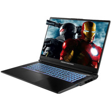 Ноутбук DREAM MACHINES RG5060-17 Black (RG5060-17UA21)