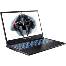 Ноутбук DREAM MACHINES RG5070-15 Black (RG5070-15UA22)