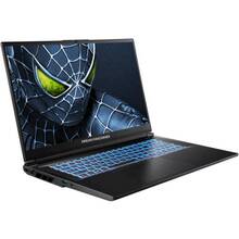 Ноутбук DREAM MACHINES RG5050-17 Black (RG5050-17UA22)