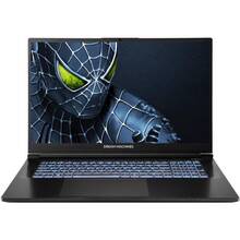 с дискретной видеокартой Ноутбук DREAM MACHINES RG5050-17 Black (RG5050-17UA22)