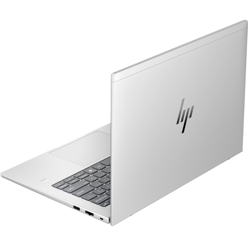 Ноутбук HP EliteBook 6 G1i Silver (B1KE8AV_V1) Тип матриці IPS