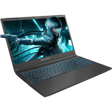 Ноутбук DREAM MACHINES RG4050-15UA66 Black
