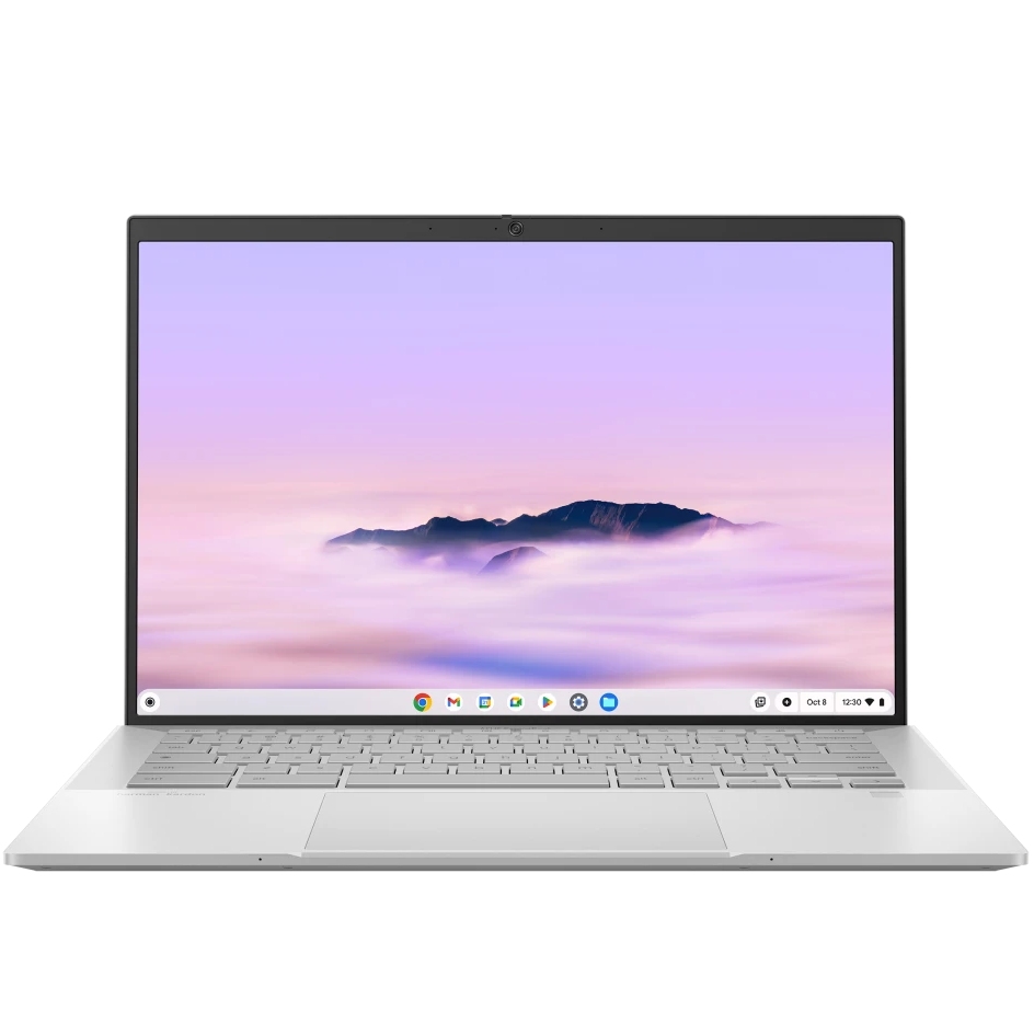 Ноутбук ASUS ExpertBook CX54 Chromebook Plus CX5403CMA-QN0678 Fog Silver (90NX0791-M00T90)