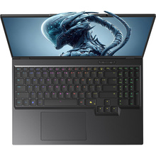 Ноутбук DM RX5090-16 Black (RX5090-16UA27)