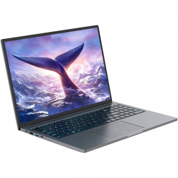 Ноутбук BLACKVIEW GamiBook 8 16GB/512GB Gray (GamiBook_8_16_512_GR) Діагональ дисплея 16