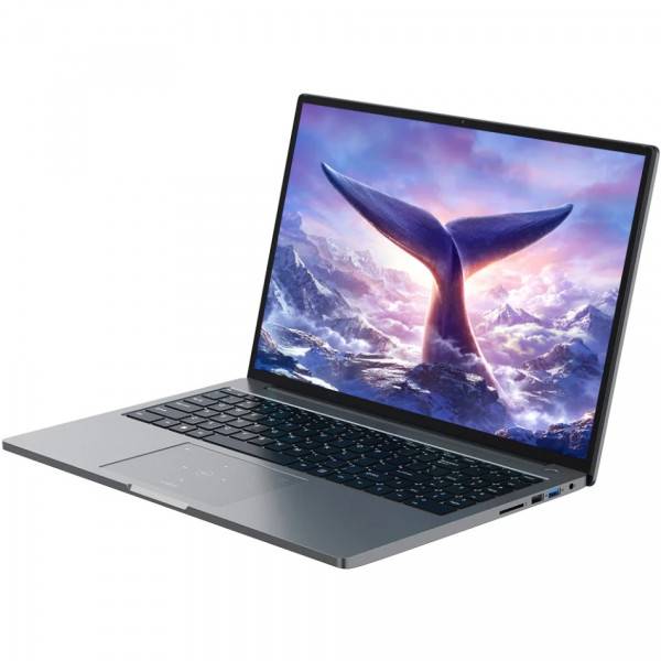 Ноутбук BLACKVIEW GamiBook 8 16GB/512GB Gray (GamiBook_8_16_512_GR) Роздільна здатність дисплея 1920 x 1200