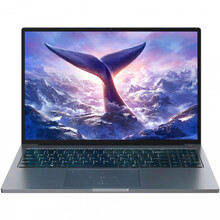 Ноутбук BLACKVIEW GamiBook 8 32GB/1TB Gray (GamiBook_8_32_1_GR)