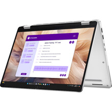 Ноутбук DELL Pro 14 PB14250 Platinum Silver (BTO114_PB14250_2N1UA)