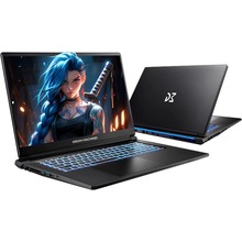 Ноутбук DREAM MACHINES RG5050-17 Black (RG5050-17UA28)