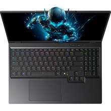 Ноутбук DREAM MACHINES RX5080-16 Black (RX5080-16UA26)