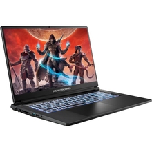 Ноутбук DREAM MACHINES RT5060-17 Black (RT5060-17UA24)