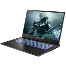 Ноутбук DREAM MACHINES RT5050-17 Black (RT5050-17UA23)