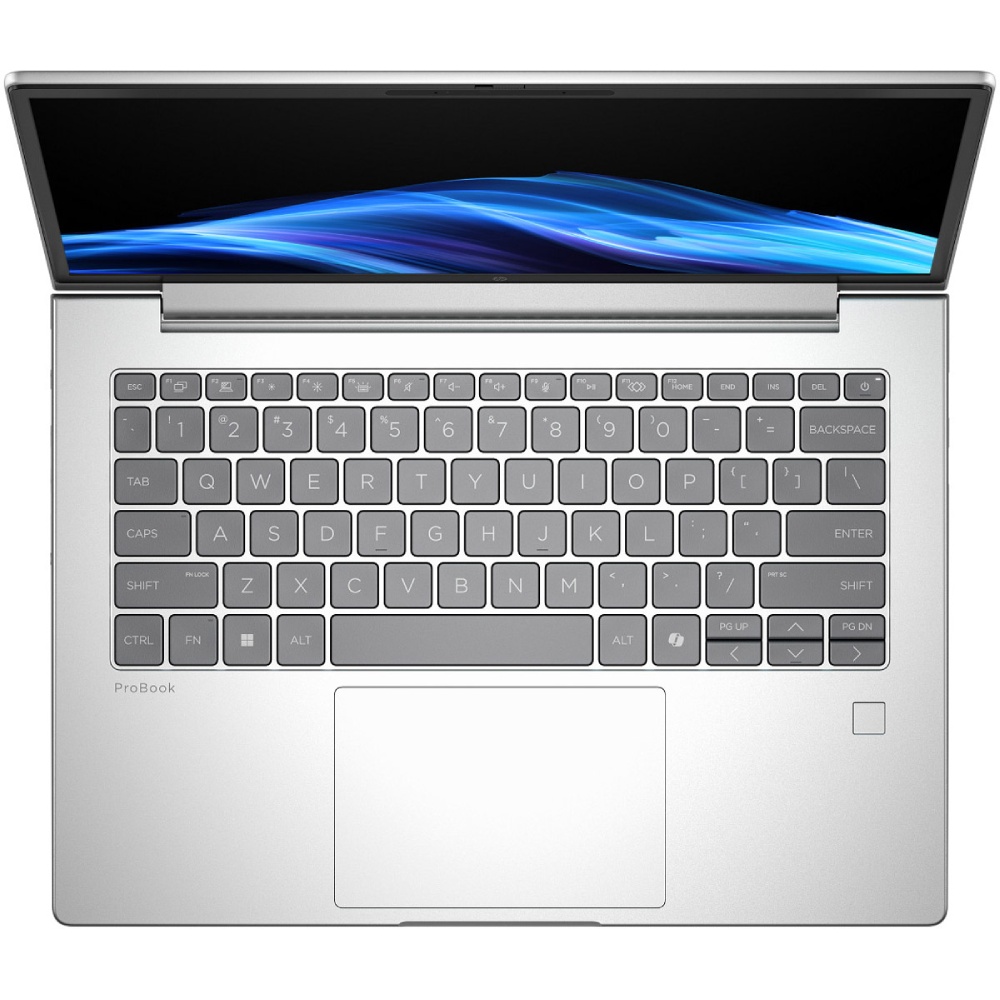 Ноутбук HP ProBook 4 G1i Silver (AT6F7AV_V12) Тип матриці IPS