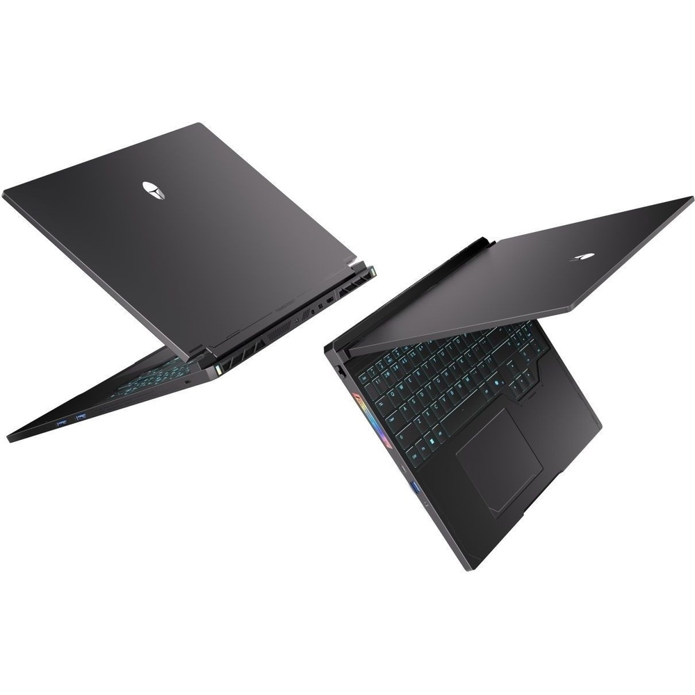 В Украине Ноутбук THUNDEROBOT RS16 Black (RS16-R97945HX57TC1Q240ARB)