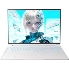 с матовым экраном Ноутбук THUNDEROBOT RS16 Turquoise (RS16-R9985HX57TE1Q240ARC)