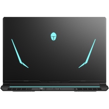 Ноутбук Thunderobot 911 X17 (911X17-i7136H56C1Q165MB)