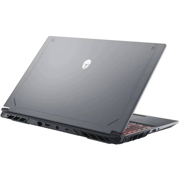 Покупка Ноутбук THUNDEROBOT R16 Gray (R16-i7146HX56C1Q300RG)