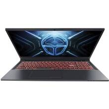 Ноутбук THUNDEROBOT R16 Grey (R16-i9139HX57C1Q300RG)