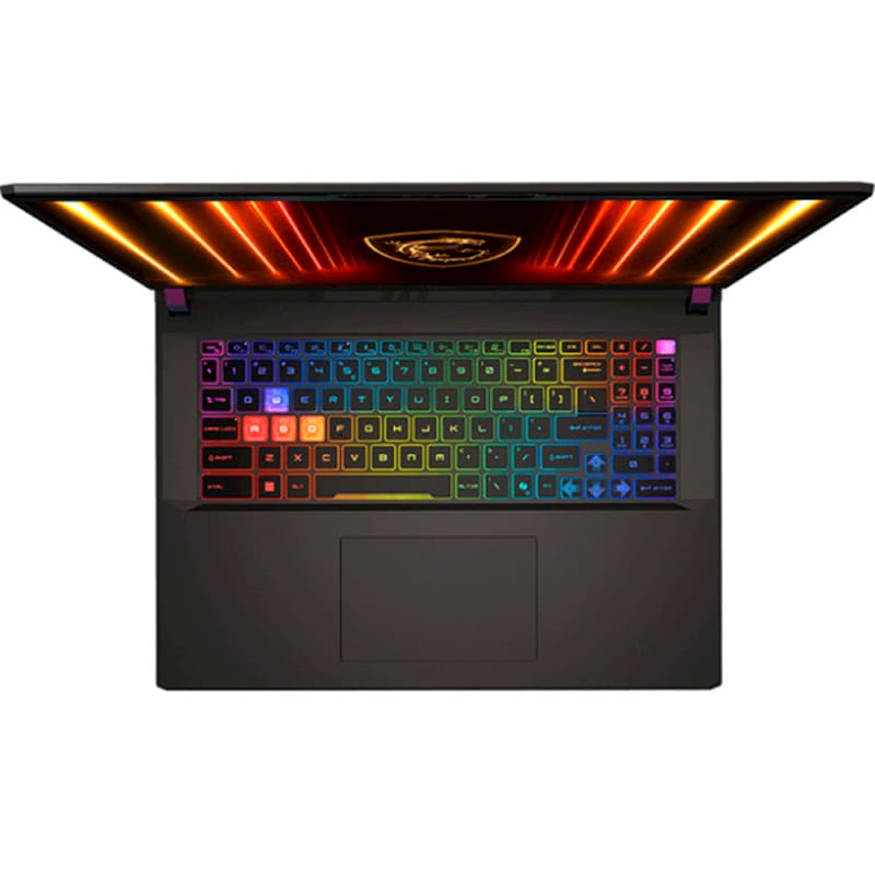 Ноутбук MSI Vector A16 HX A8WIG-013XUA Cosmos Gray (9S7-15MM72-013) Тип матрицы IPS