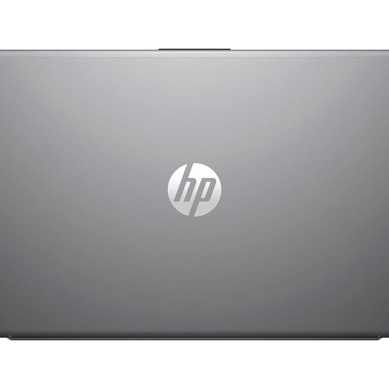 Ноутбук HP 255R G10 Turbo Silver (AD1U8ET) Тип матрицы IPS