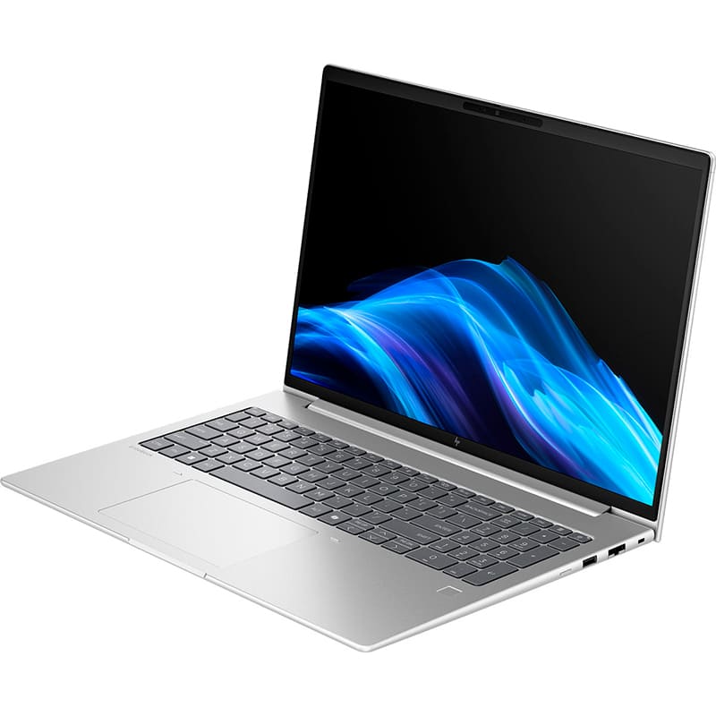 Ноутбук HP EliteBook 6 G1i Pike Silver (AV3Y6AV_V6) Тип матрицы IPS