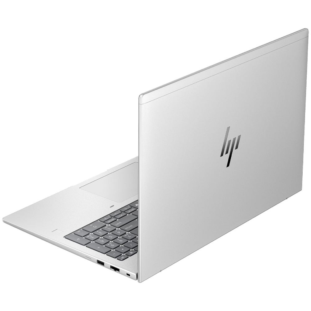 Ноутбук HP EliteBook 6 G1ah Silver (AZ8Z1AV_V7) Тип матрицы IPS