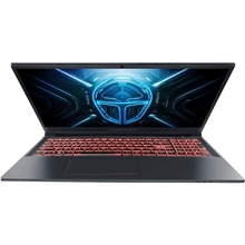 Ноутбук THUNDEROBOT R16 Grey (R16-i9139HX58C1Q300RG)