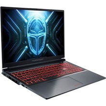 Ноутбук THUNDEROBOT R16 Grey (R16-i9139HX58C1Q300RG)