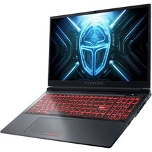 Ноутбук THUNDEROBOT R16 Grey (R16-R97945HX57TE1Q300RG)