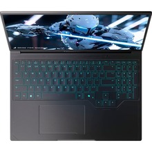 Ноутбук THUNDEROBOT RS16 Black (RS16-i9139HX57C1Q240ARB)