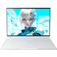 с процессором Intel Core i7 Ноутбук THUNDEROBOT RS16 Sky Blue (RS16-i7136HX56C1Q180RC)