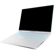 Ноутбук THUNDEROBOT RS16 Sky Blue (RS16-i7136HX56C1Q180RC)