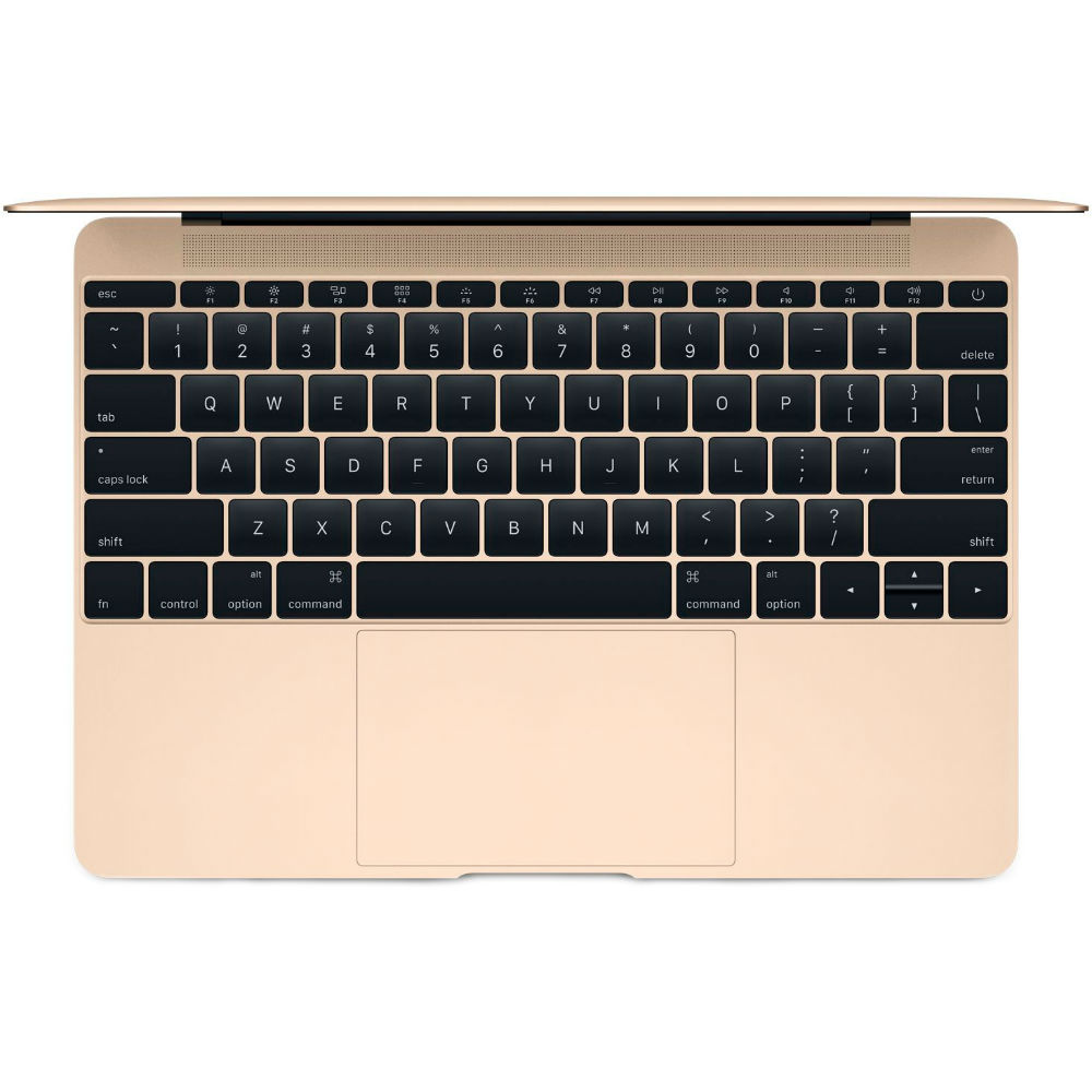 Ультрабук APPLE A1534 MacBook 12" Retina (MLHE2UA/A) Тип матрицы IPS