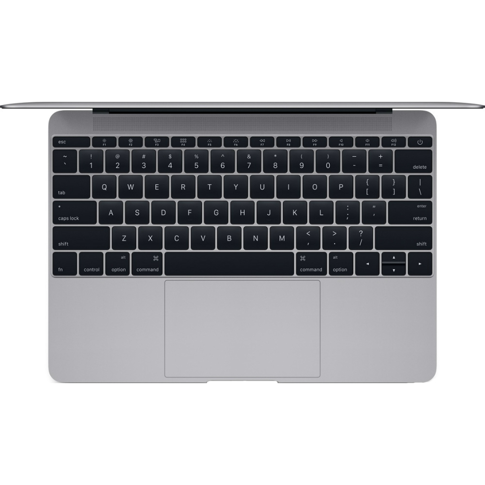 Ноутбук Apple MacBook 12" Space Gray (MLH82) Разрешение дисплея 2304 x 1440