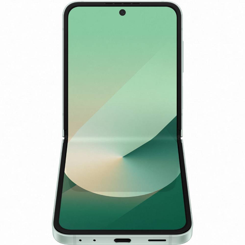 Покупка Смартфон SAMSUNG SM-F741B Galaxy Flip 6 12/256Gb LGG Mint (SM-F741BLGGSEK)