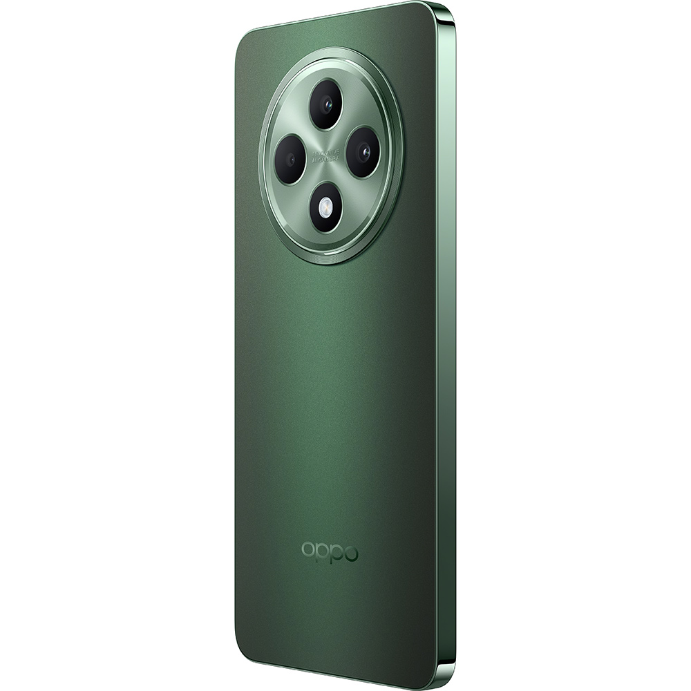 Заказать Смартфон OPPO Reno12 FS 12/512GB Olive Green (CPH2637)