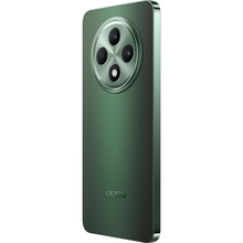 Смартфон OPPO Reno12 FS 12/512GB Olive Green (CPH2637)