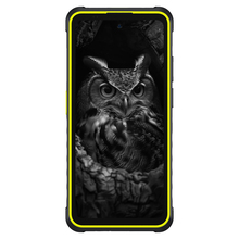 Смартфон ULEFONE Armor X31 Pro 8/256GB Dual Sim Black-Green (78471)